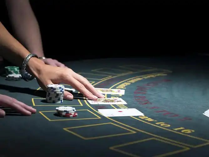 Dashboard zeus69 menampilkan kategori olahraga, live-dealer, slot, dan esports dalam satu antarmuka terpadu
